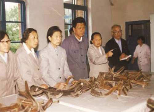 图片12